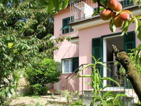 Locazione Turistica Rosa